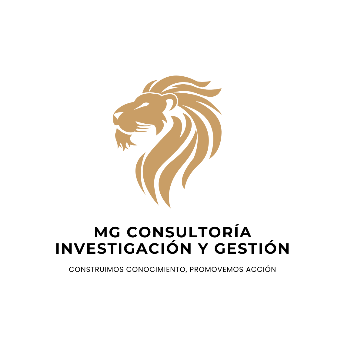 Logo MG Consultoría
